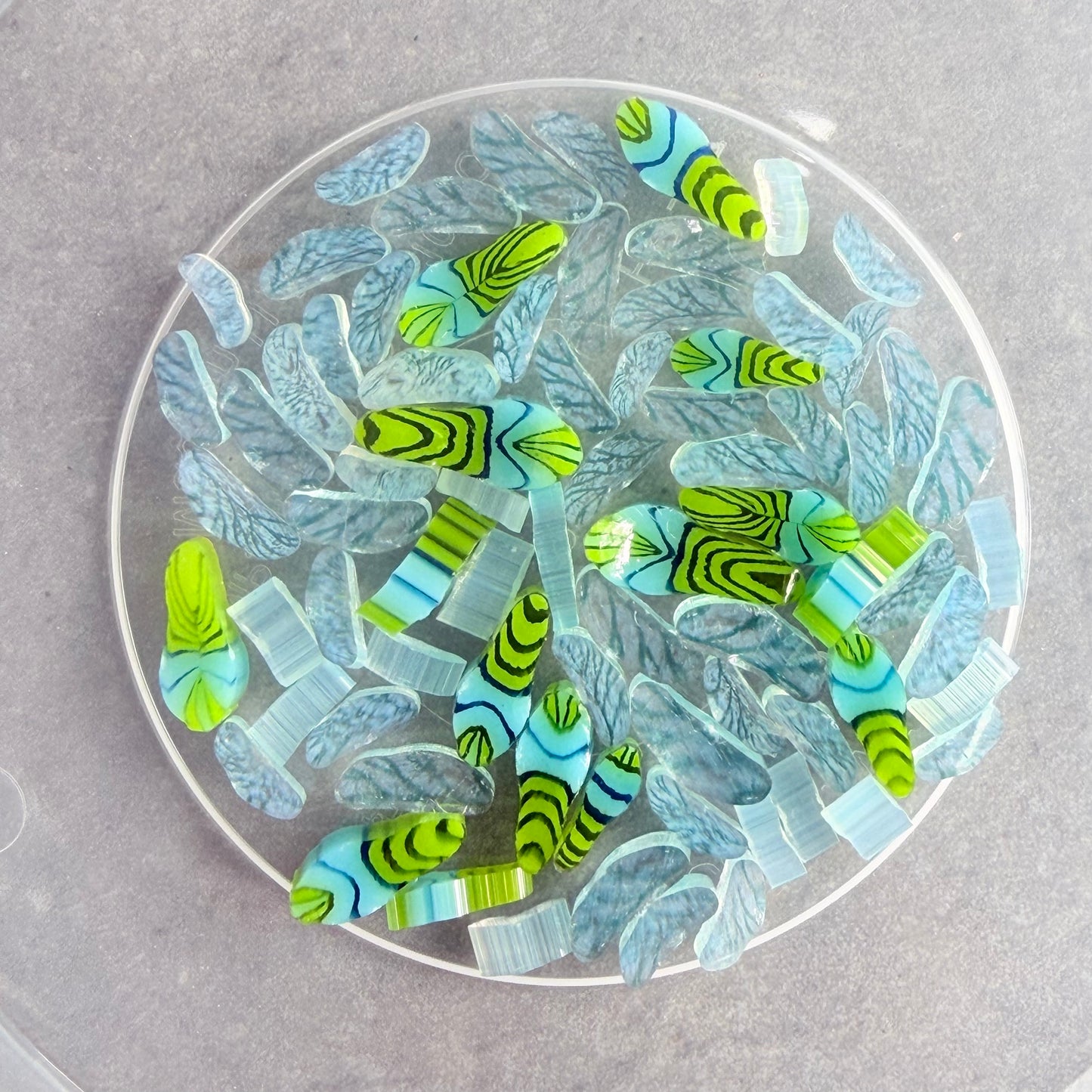 Dragonfly - Tabitha’s Glass Emporium