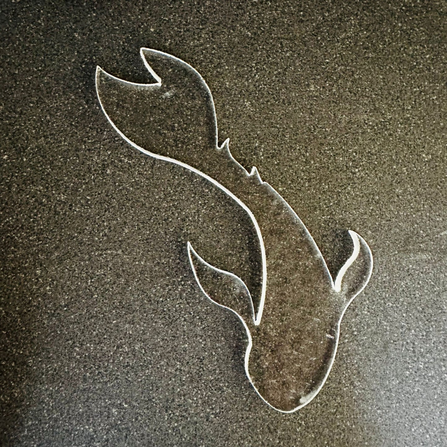 Koi Carp 1