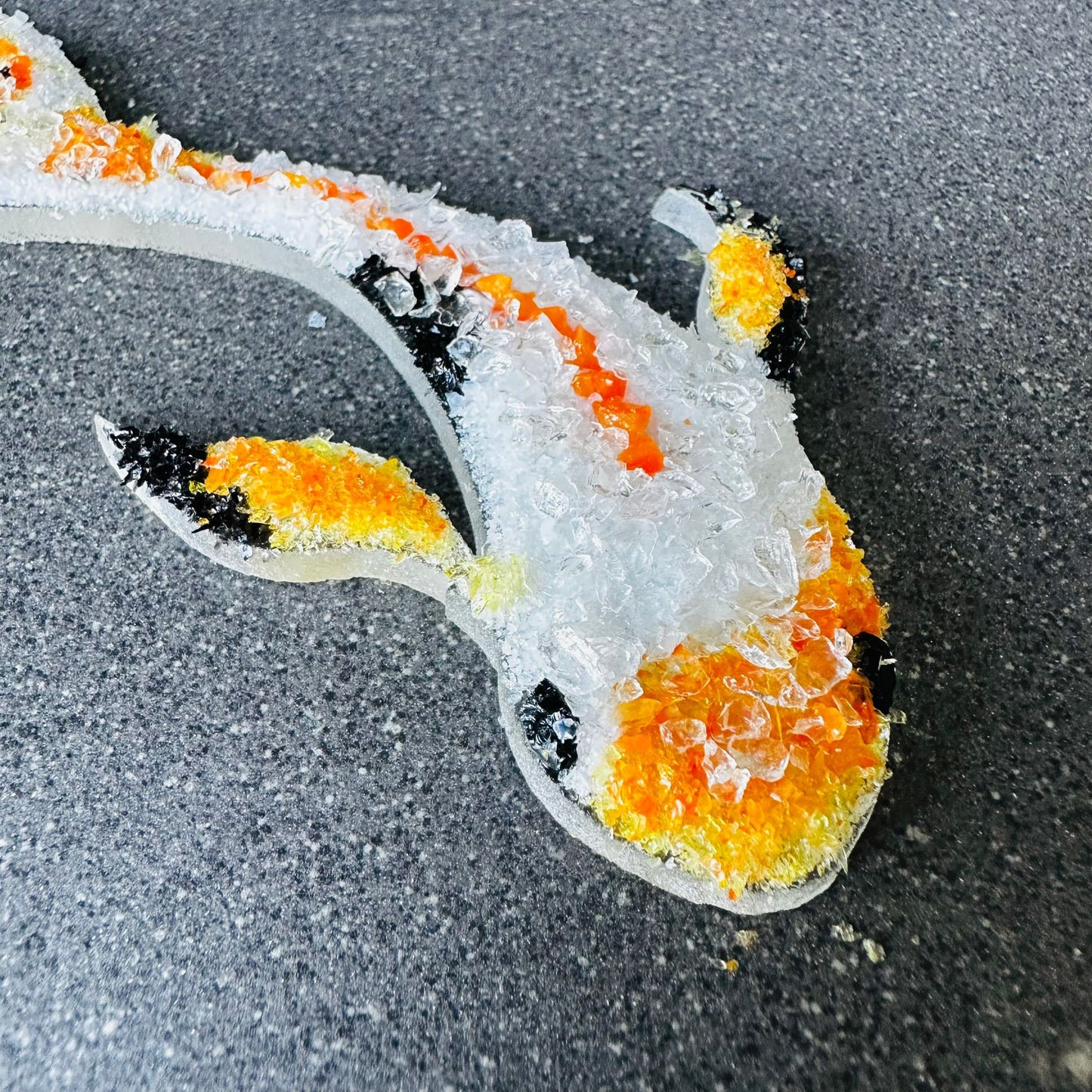 Koi Carp 1