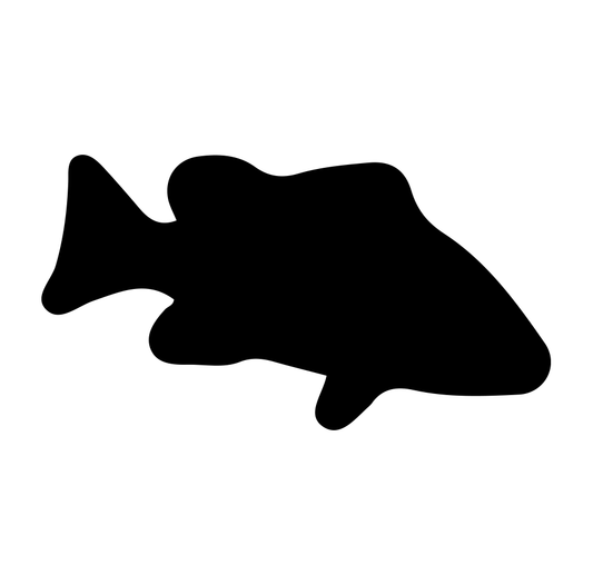 Fish 10