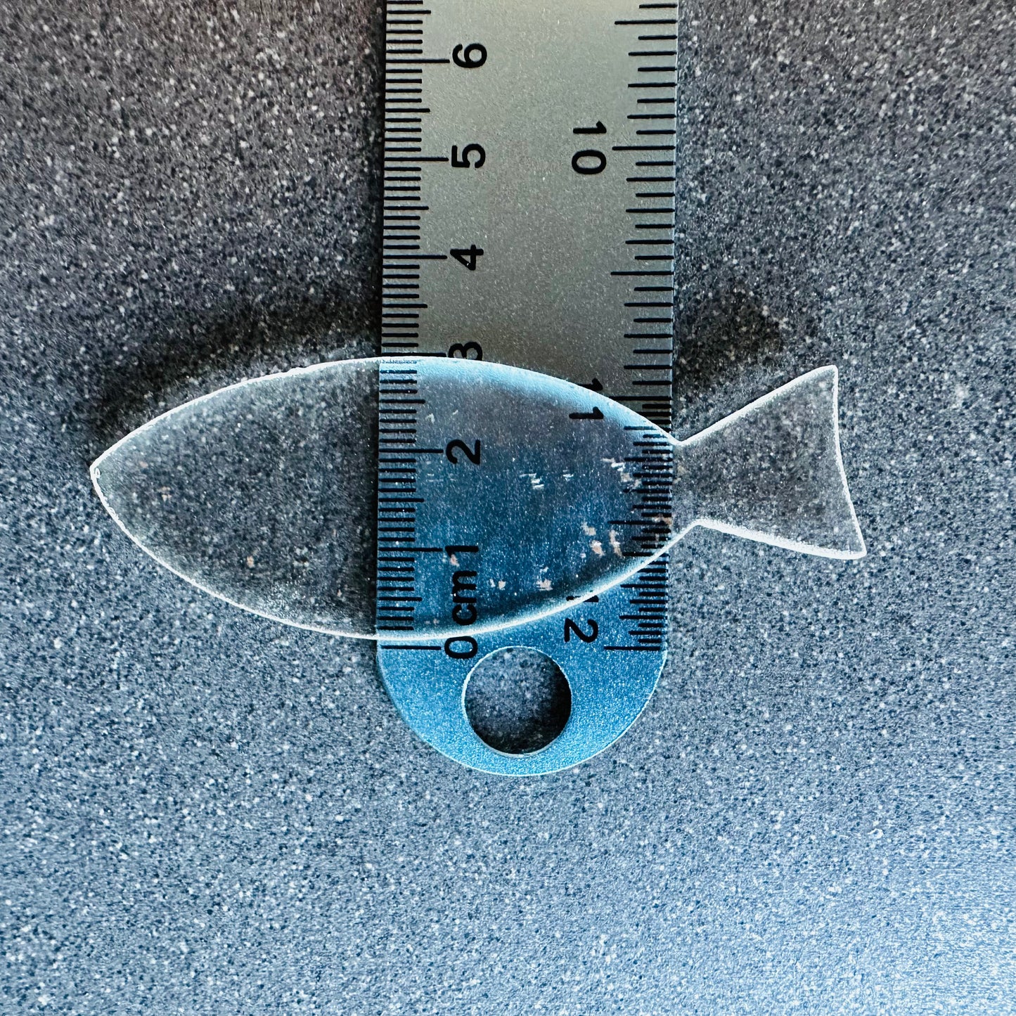Fish 3
