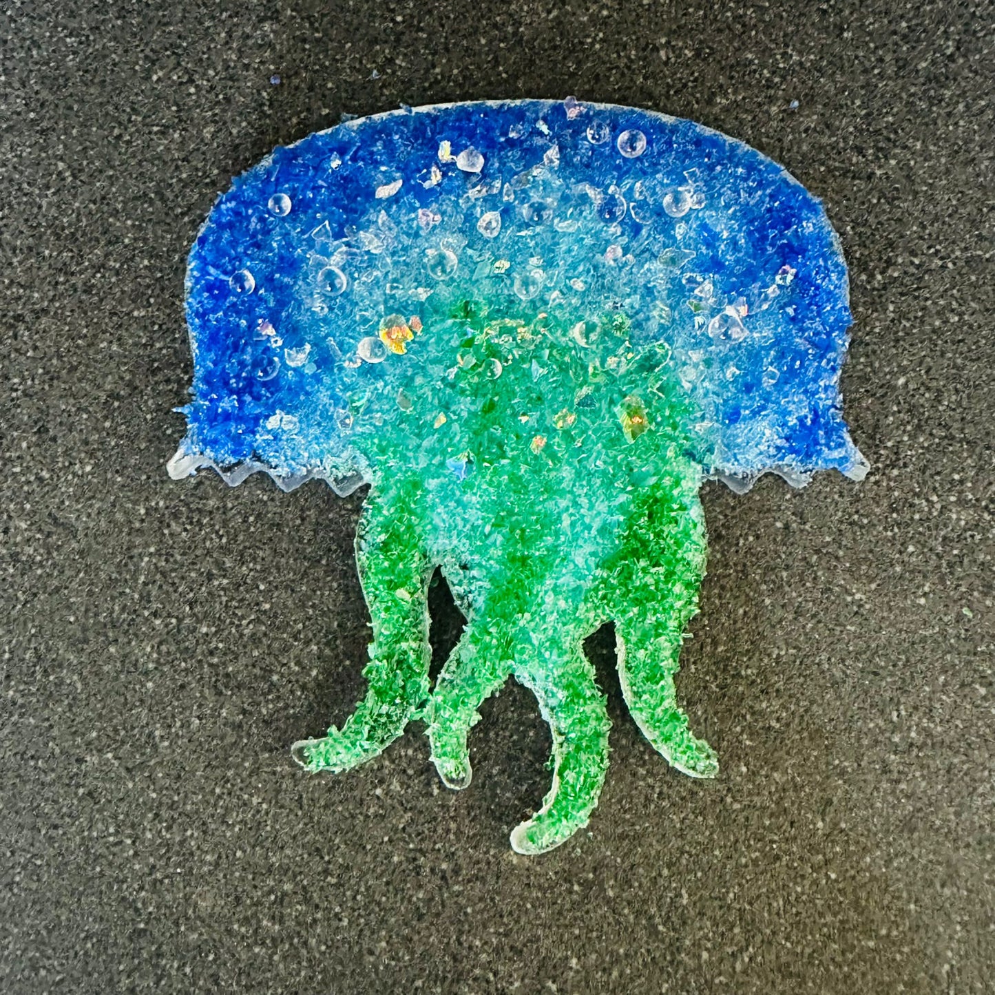Jellyfish