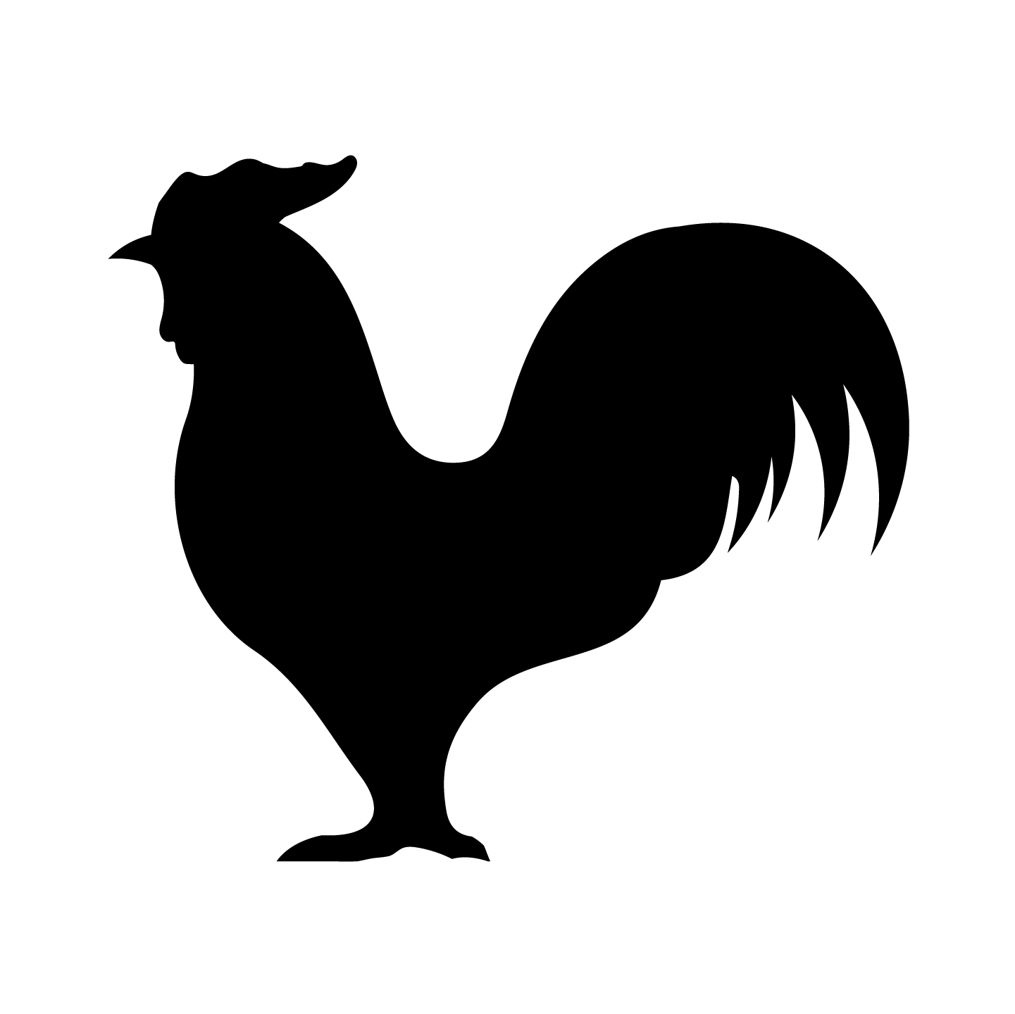 Rooster