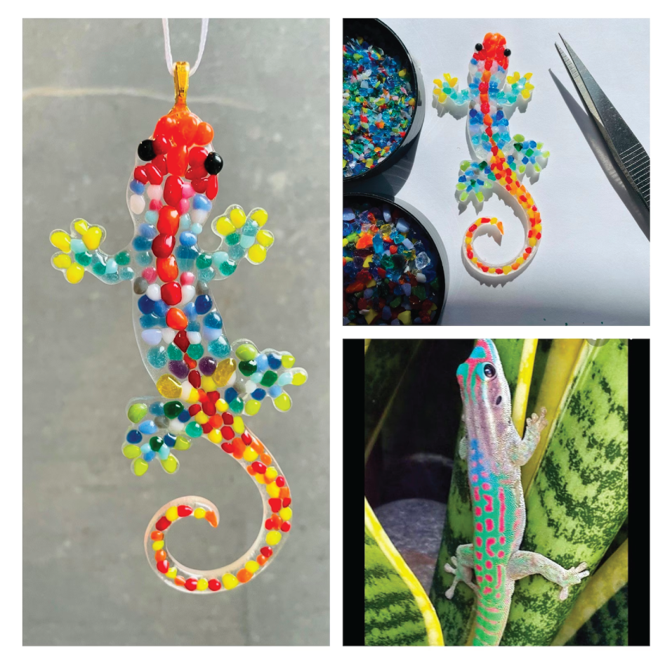 Gecko