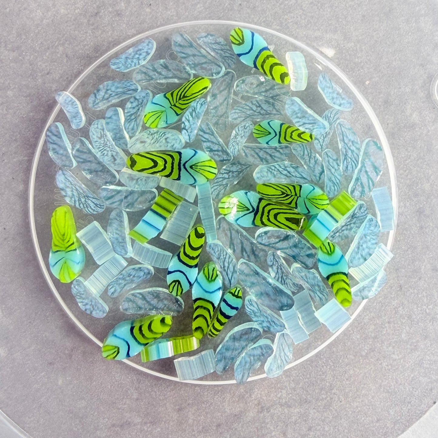 Dragonfly - Tabitha’s Glass Emporium