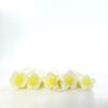 White and yellow flower - Tabitha’s Glass Emporium