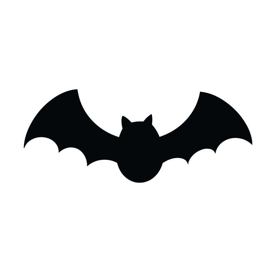 Bat 2