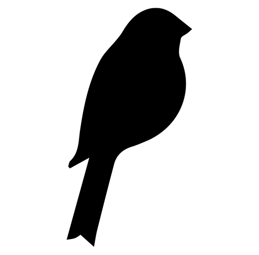 Bird 3