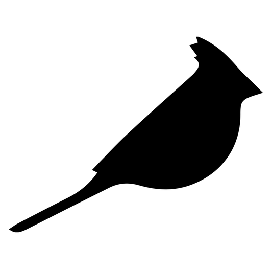 Bird 4