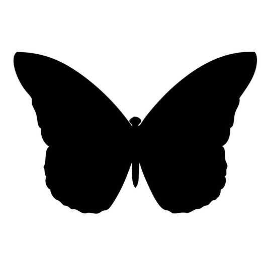 Butterfly 1