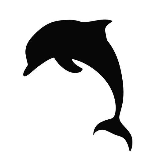 Dolphin 2