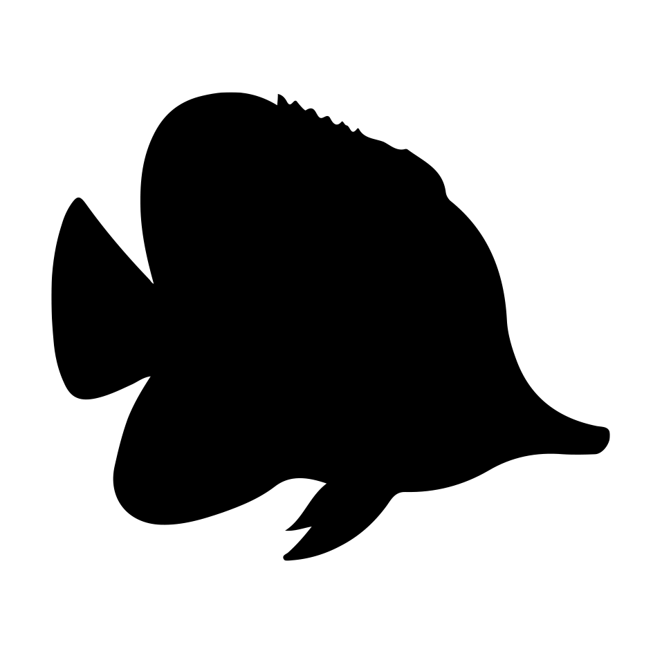 Fish 6