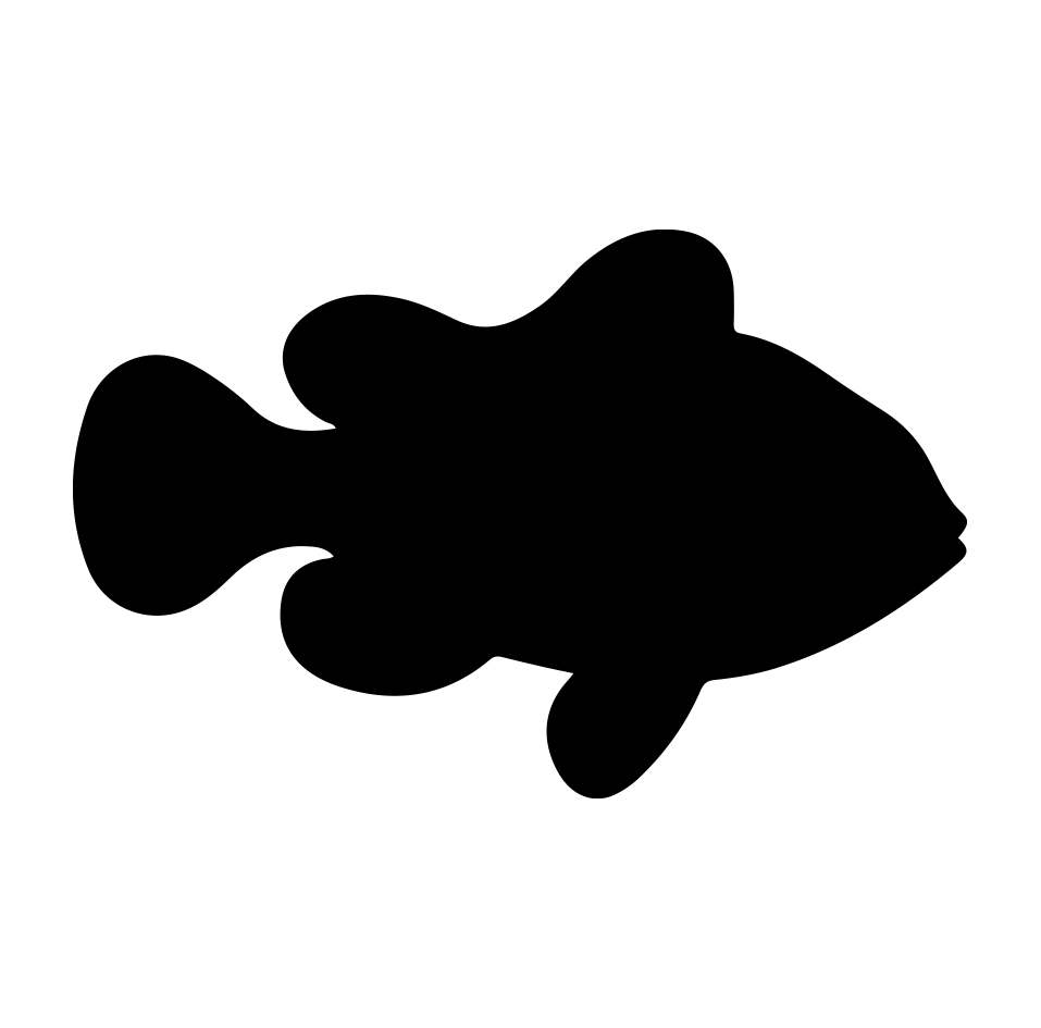 Fish 9