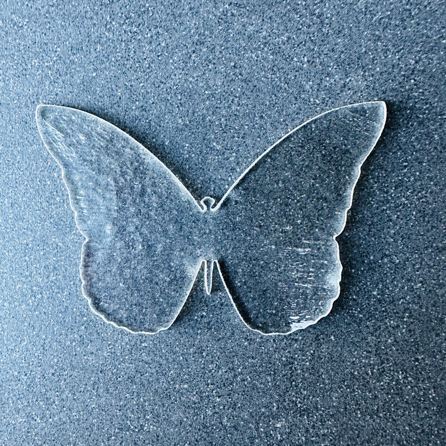 Butterfly 1