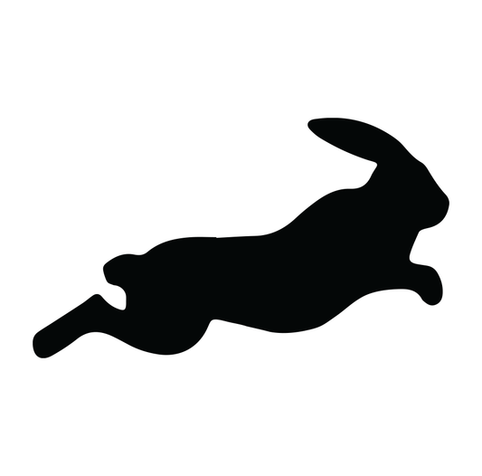 Leaping Hare