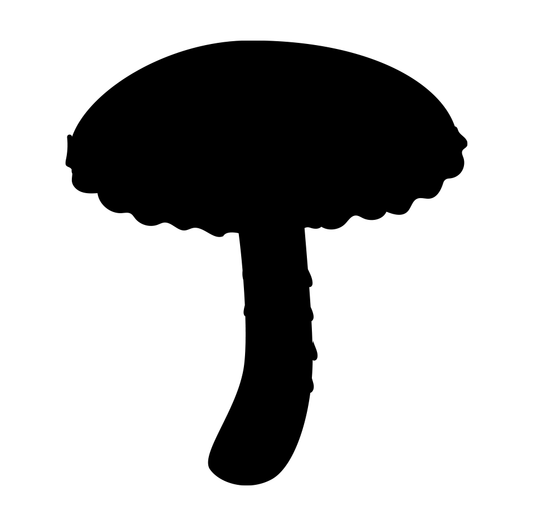 Mushroom 4