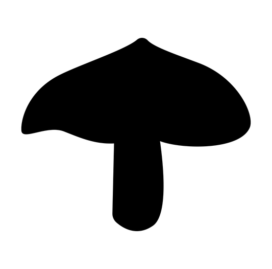 Mushroom 6