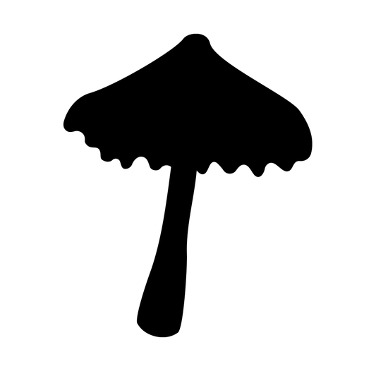 Mushroom 8