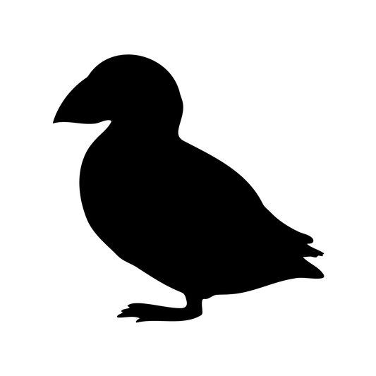 Puffin
