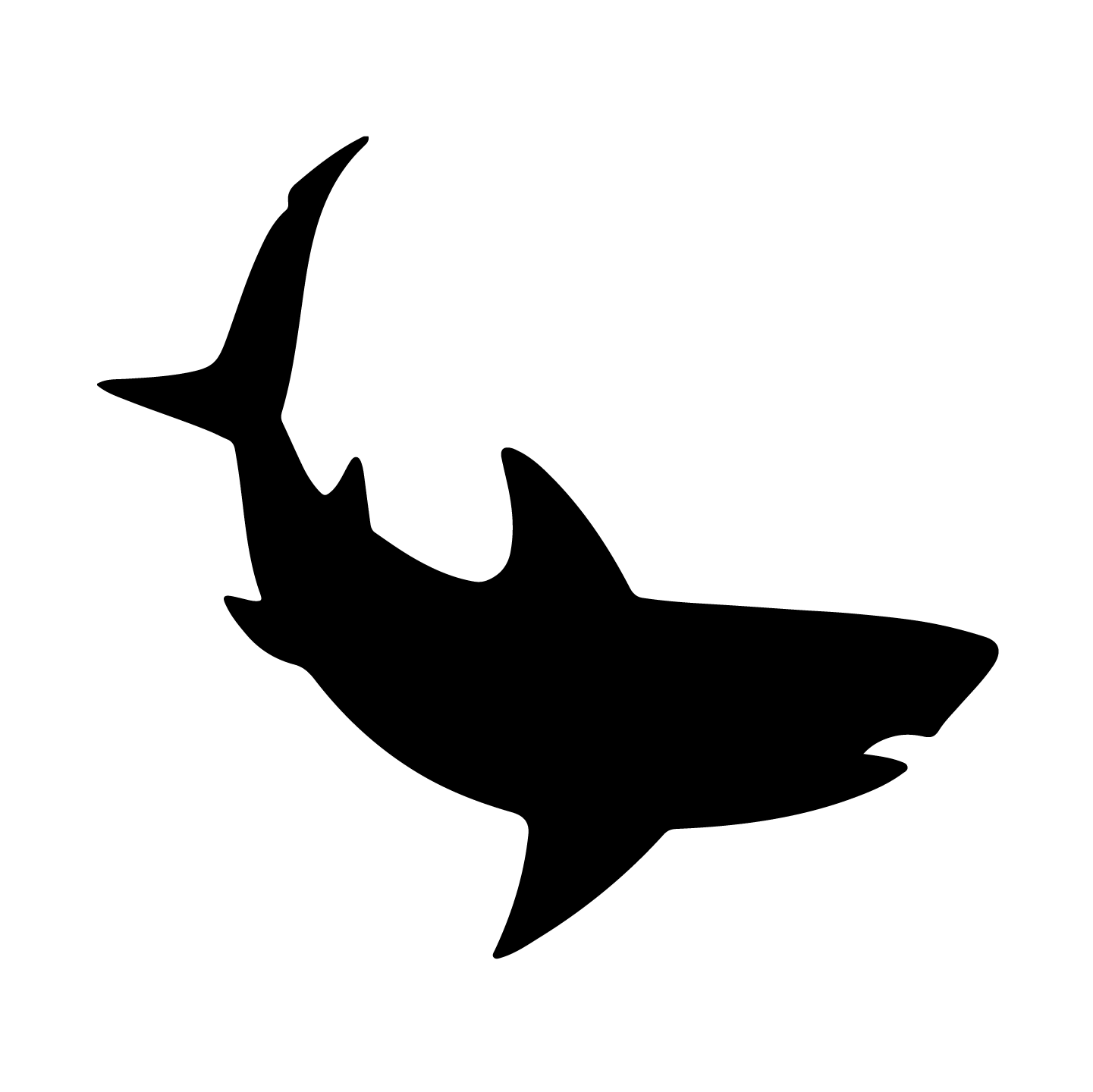 Shark