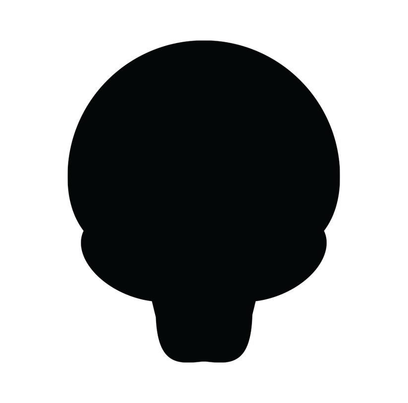 Skull 2 – Glass Shapes