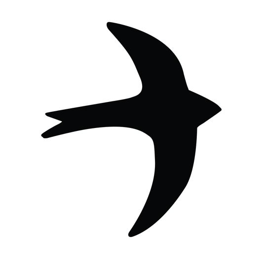 Swift Bird